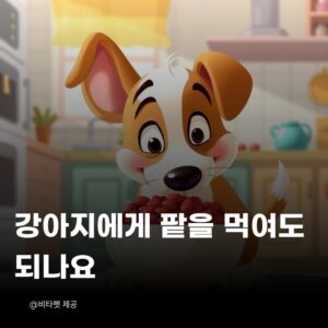 강아지-팥