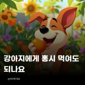 강아지-홍시