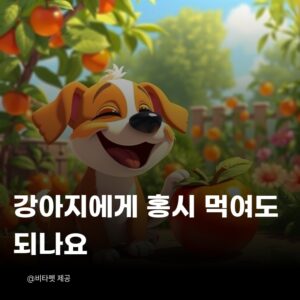 강아지-홍시