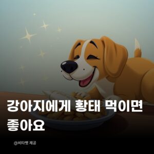 강아지-황태