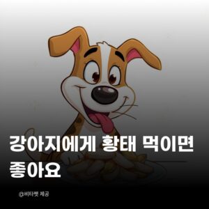 강아지-황태