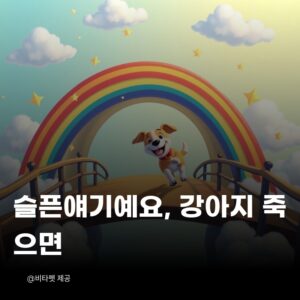 강아지-죽으면