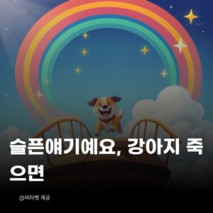 강아지-죽으면