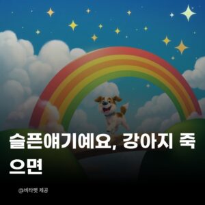 강아지-죽으면