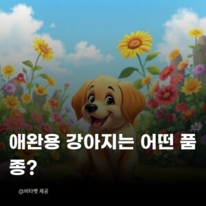 애완용-강아지