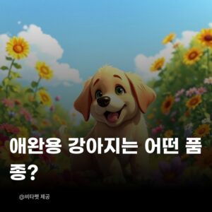 애완용-강아지