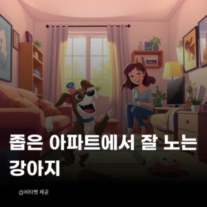 좁은-아파트-강아지