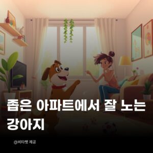 좁은-아파트-강아지