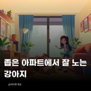 좁은-아파트-강아지
