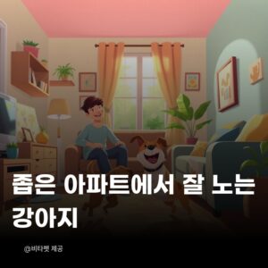 좁은-아파트-강아지