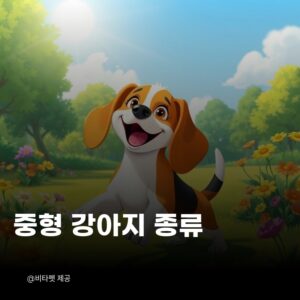 중형-강아지