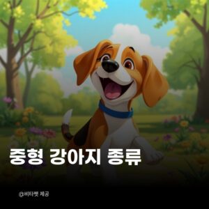 중형-강아지