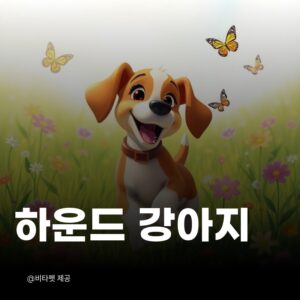 하운드-강아지