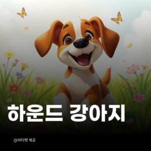 하운드-강아지