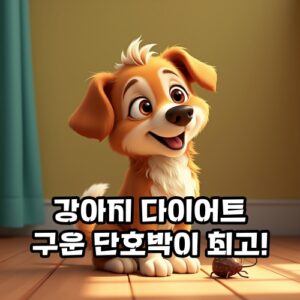 강아지-다이어트-구운-단호박