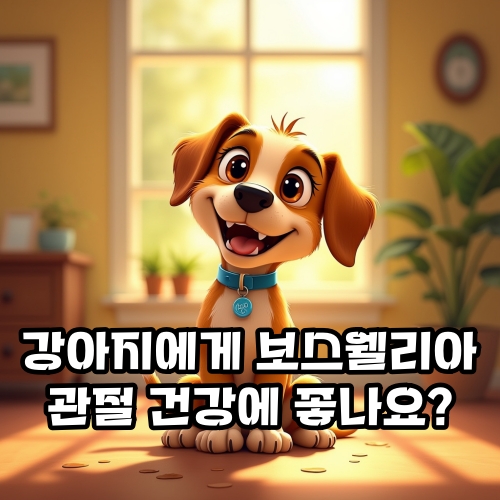 강아지-보스웰리아-관절-건강