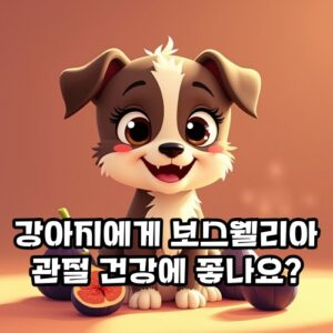 강아지-보스웰리아-관절-건강
