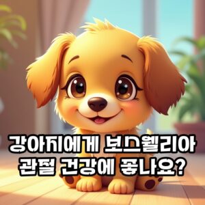 강아지-보스웰리아-관절-건강