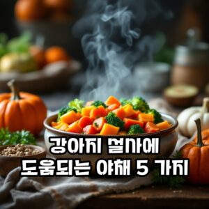 강아지-설사