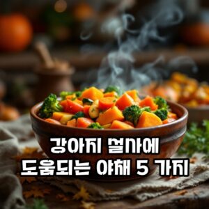 강아지-설사