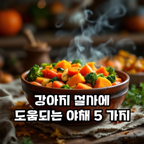 강아지-설사