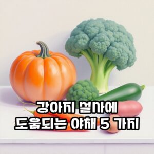 강아지-설사