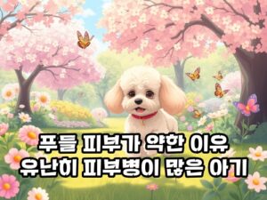 푸들-피부병