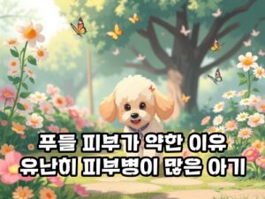 푸들-피부병