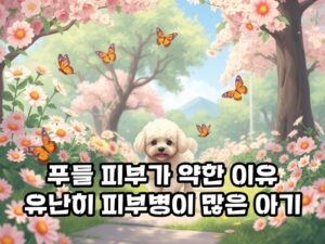 푸들-피부병