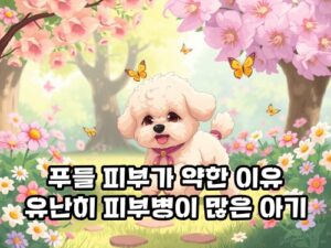 푸들-피부병