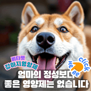 비타펫-강아지영양제-강아지유산균