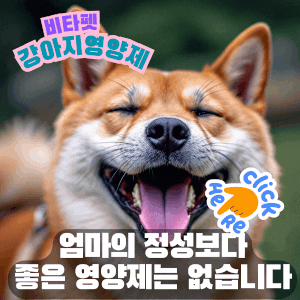비타펫 강아지 영양제 유산균