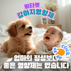 비타펫-강아지-영양제-유산균