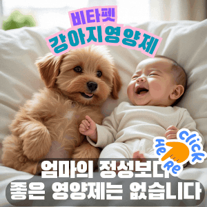 비타펫-강아지-영양제-유산균