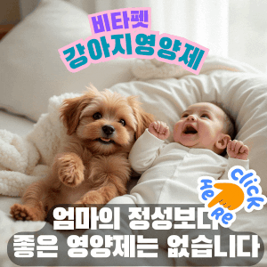 강아지-비타펫