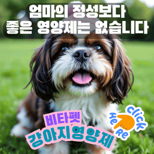 비타펫-강아지-영양제-유산균