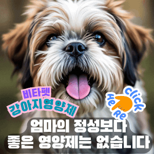 비타펫-강아지-영양제-유산균