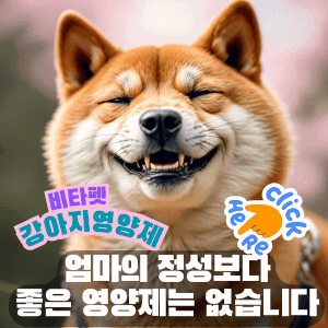 비타펫-강아지-유산균-영양제