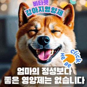 비타펫-강아지-유산균-영양제