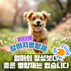 강아지-샤워