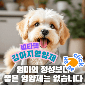 강아지-재채기