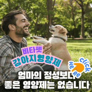 강아지-비타펫