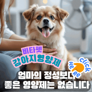 강아지-비타펫