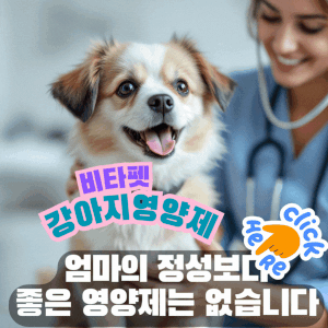 강아지-비타펫