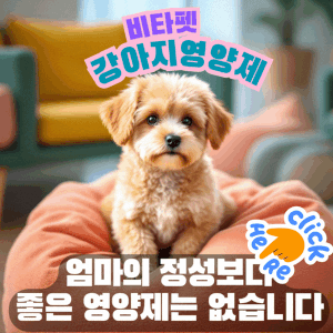 강아지-비타펫