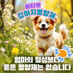 강아지-비타펫