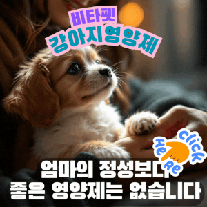 강아지-목욕주기-비타펫