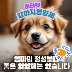 강아지-모낭염