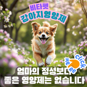 강아지-비타펫-강아지영양제