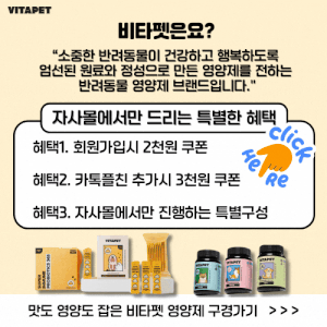 비타펫-강아지-유산균